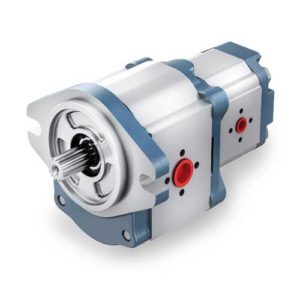 Bondioli-Pavesi-HPL-pump-300x300